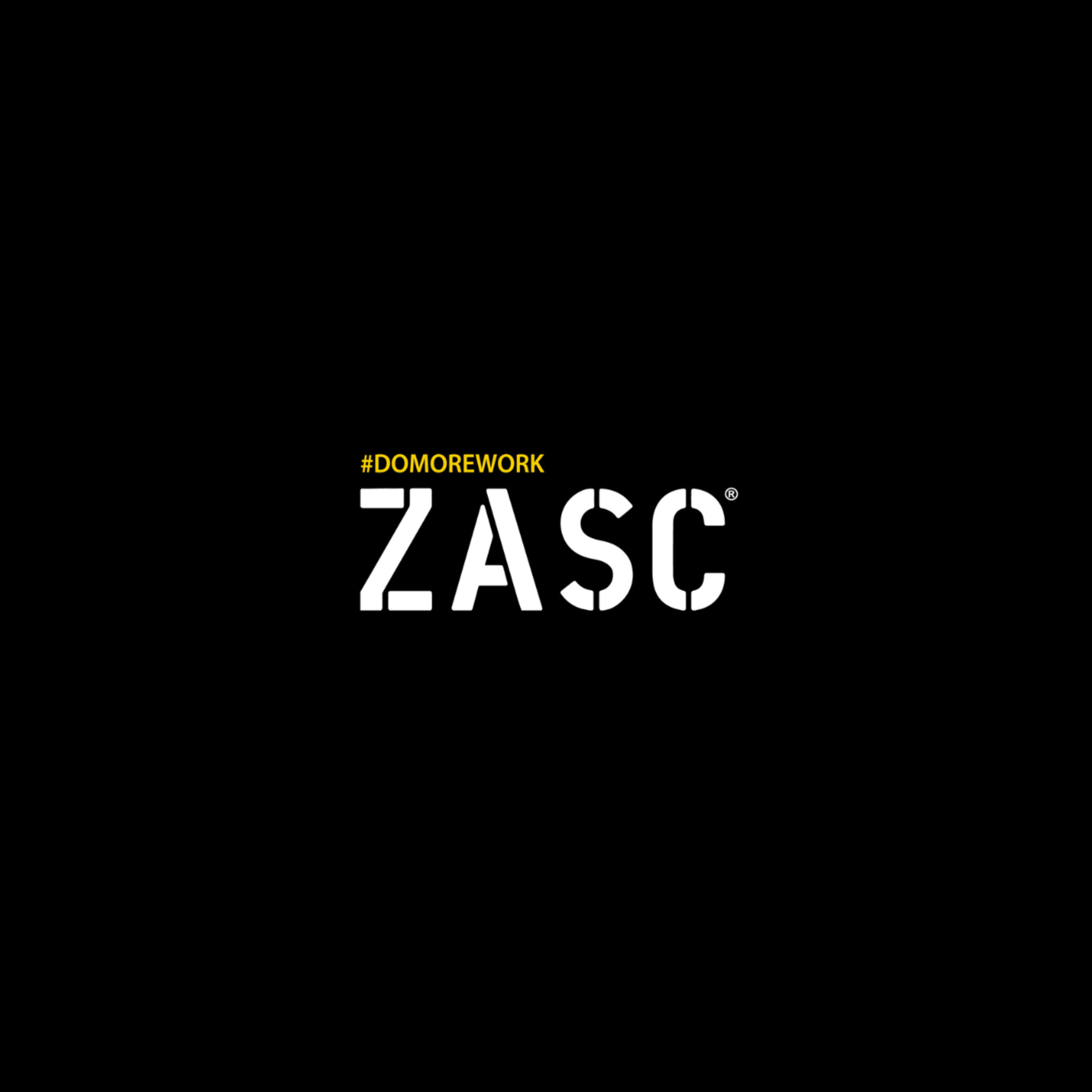 ZASC Pompe à Eau Périphérique 1/2 HP 370W 38 L/min 35 m