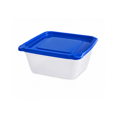Easy Open Food Container 1350ml