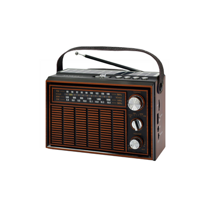 Sankey Portable Radio with Bluetooth, Solar Panel, LED Light, USB/TF Card, and Rechargeable Battery