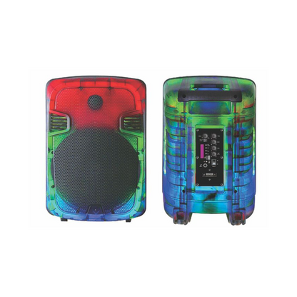 Sankey 12" Bluetooth Speaker with LED Cabinet, TWS, USB/SD/FM & Karaoke