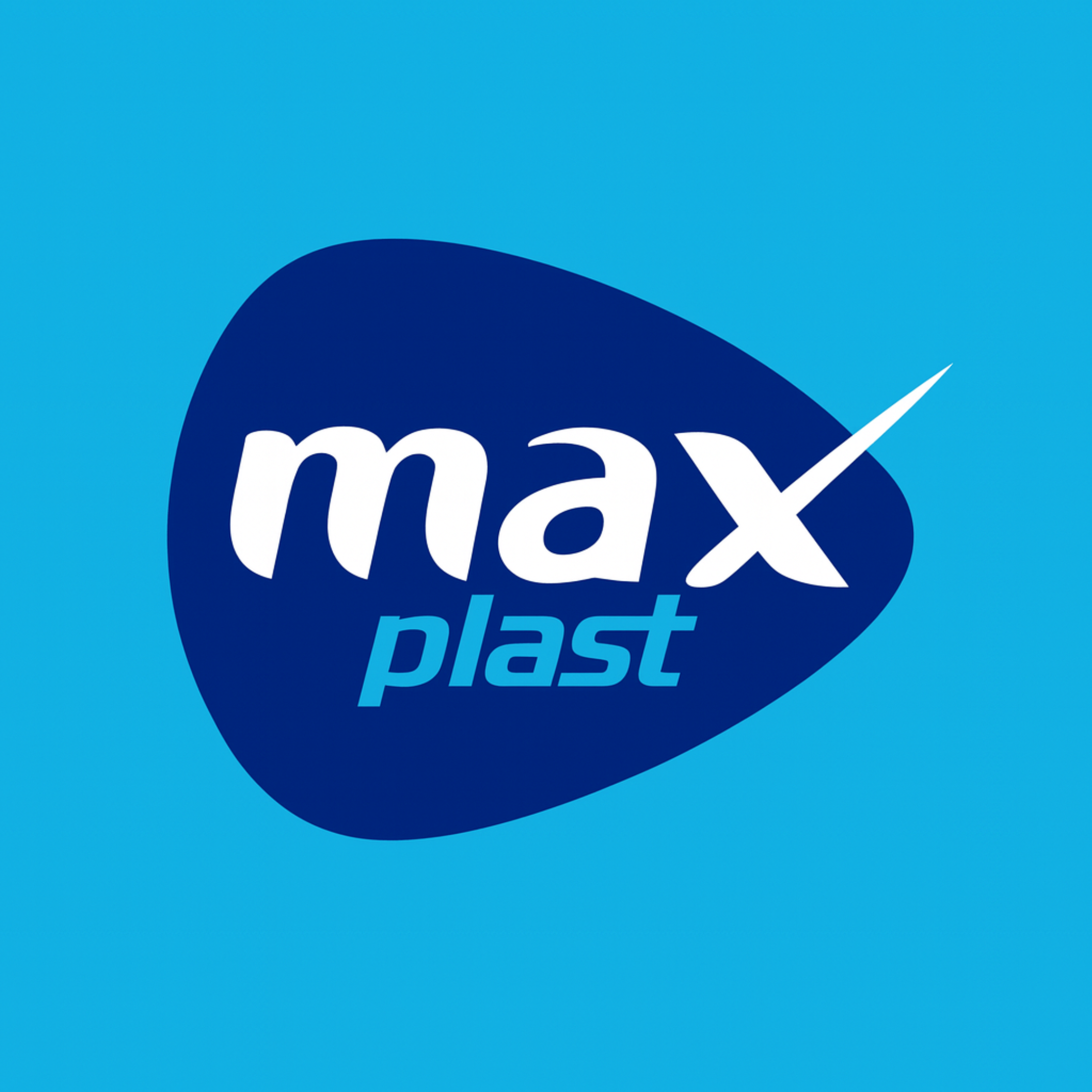 MaxPlast Plastic Multi-Use Box with 4 Divisions – 25×23×16 cm / MAX-1654